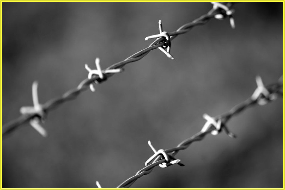 최신 경비 법규 완벽 분석: 경비원 직무 교육의 모든 것