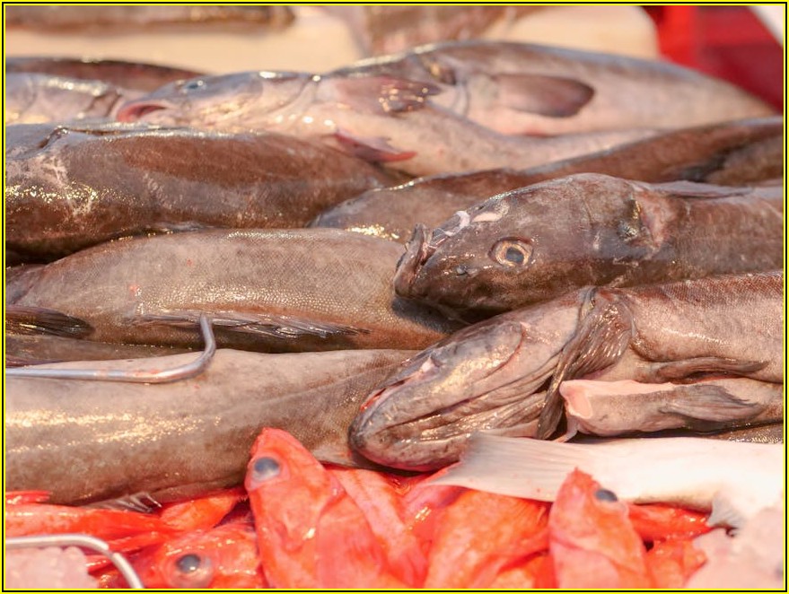 현명한 도매시장 방문법: 최저가 흥정과 편안한 주차