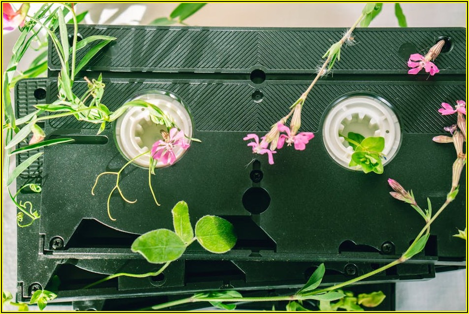 비닐 분리수거, 이것만 알면 전문가!