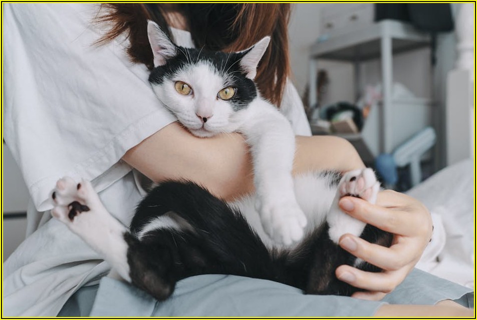 나에게 딱 맞는 서울 일본어 학원 찾는 비결 대공개