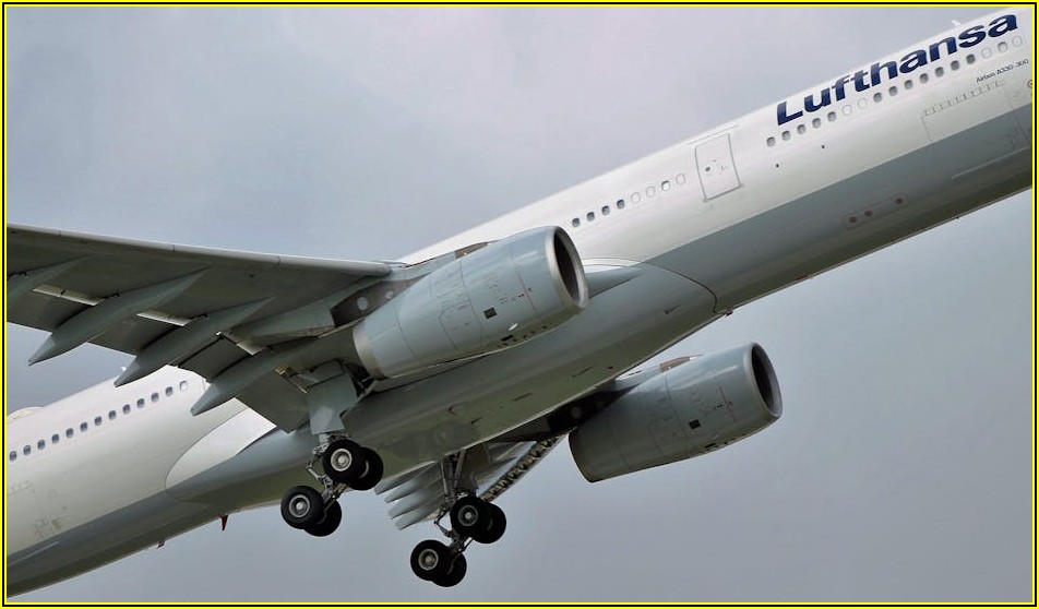 내게 맞는 5톤 윙바디 중고차, 시세부터 구매까지 완벽 분석