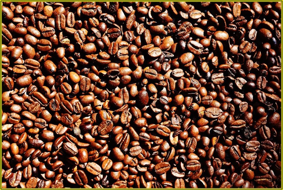 맛있는 원두 커피의 모든 것, 선택부터 추출까지