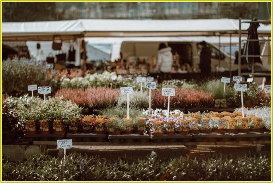 어린이집 매매, 막막하다면 이 글을 보세요
