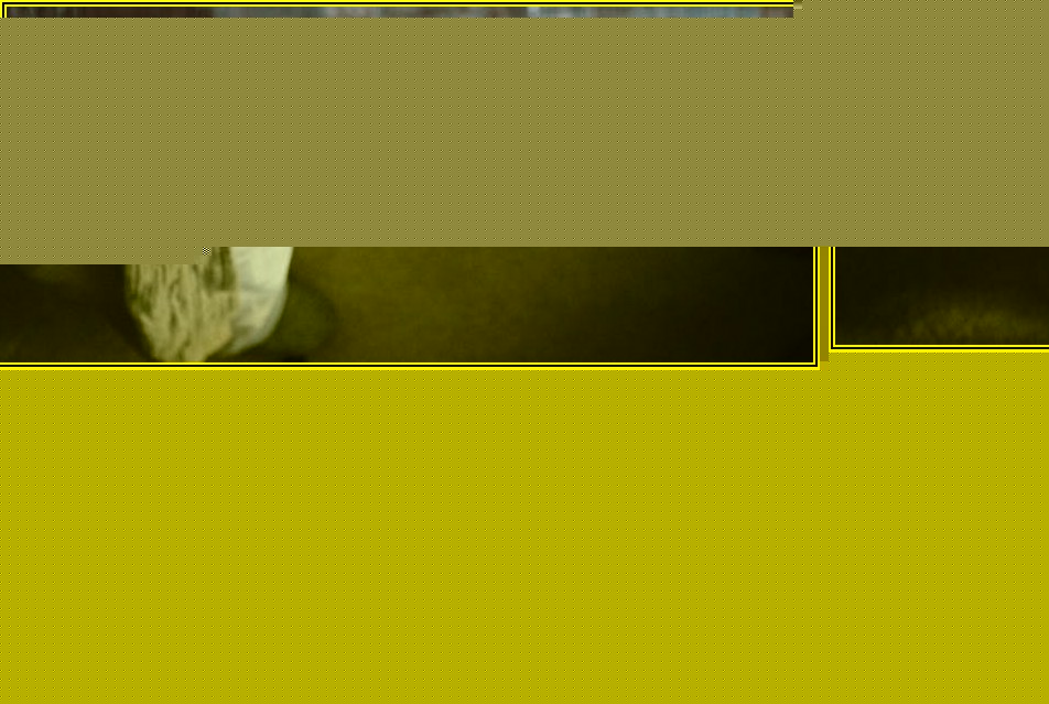 어린이집 매매 성공 가이드: 알찬 거래의 모든 것