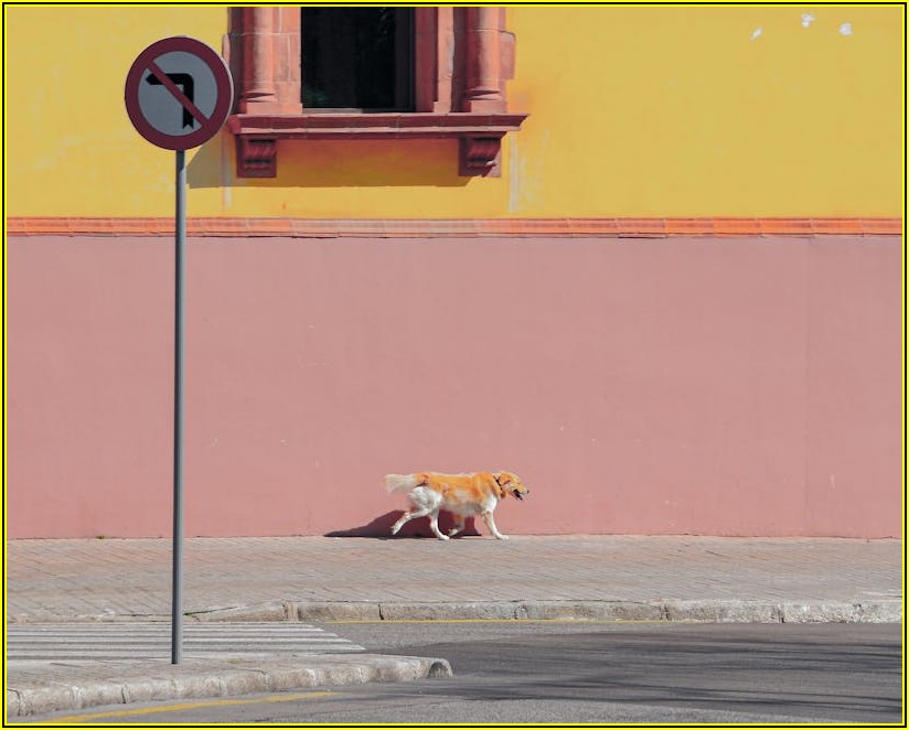 진입금지 표지판, 안전사고 막는 올바른 활용법