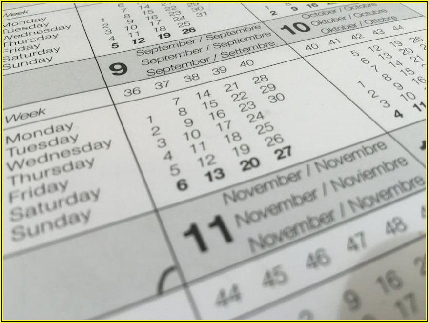 나에게 맞는 영문도장 찾기: 온라인과 오프라인 장단점 분석