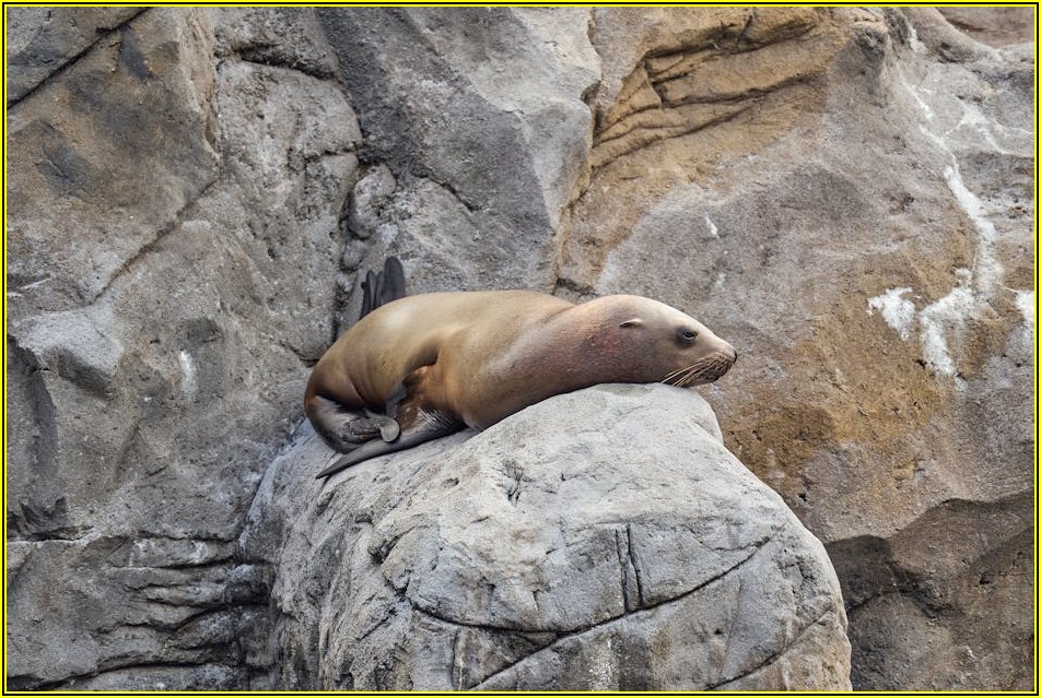 영문도장 제작, 온라인 vs 오프라인 완벽 비교 가이드