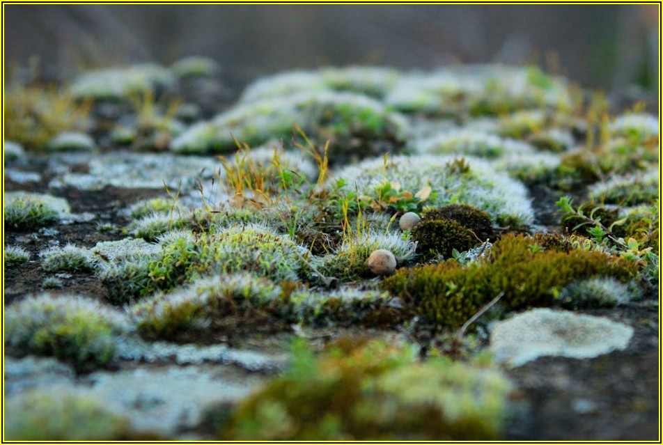 막힌 혈관 뚫는 비결, 혈관 건강 되찾기