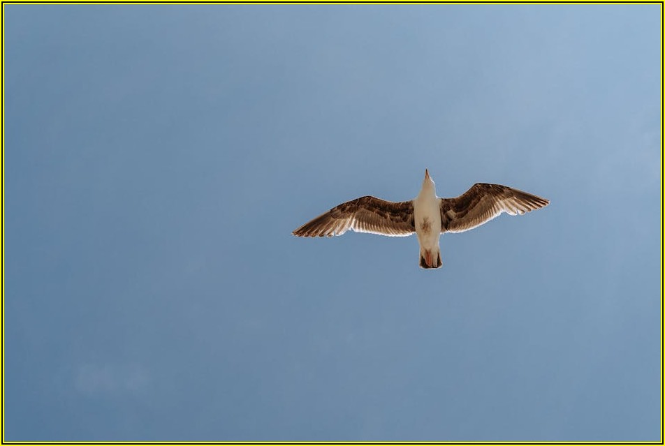 무료호스팅 보안 사고 막는 법, 웹사이트 안전 관리 핵심 노하우