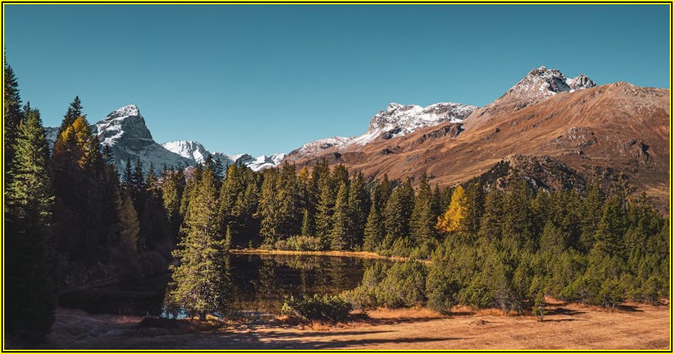 건축 입면도, 디자인과 기능의 조화를 이해하는 법