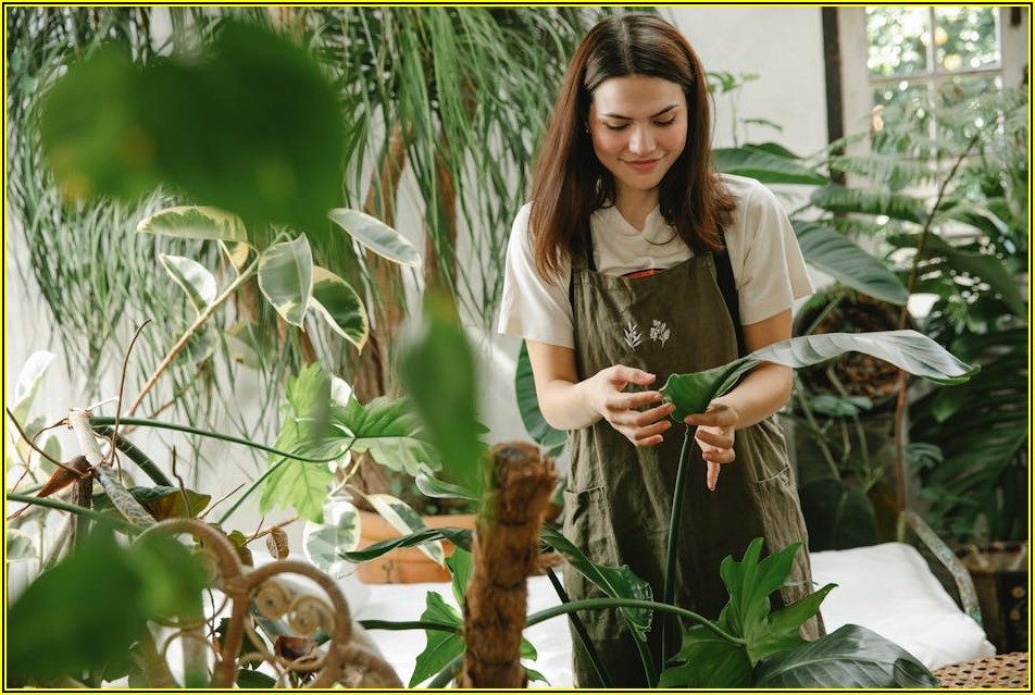 꽃집 알바생이 들려주는 생생한 경험담