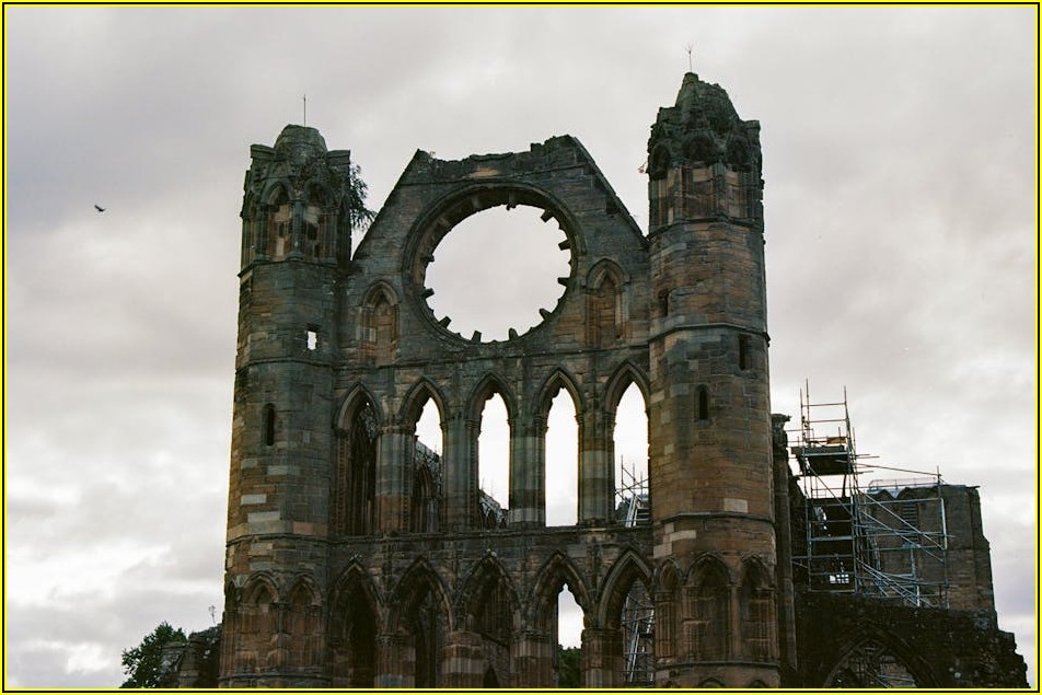 알고리즘 변화 속 포털 트렌드, 어떻게 분석할까?