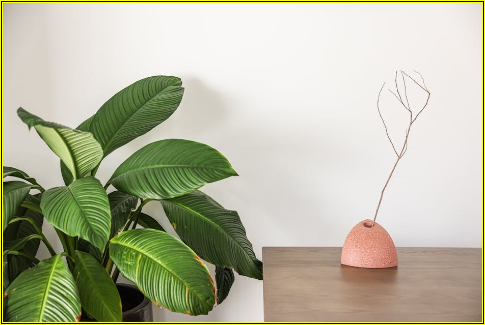 이사 필수! 냄비 버리기부터 주방 폐기물 완벽 정리