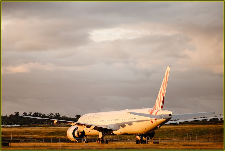 중고 윙바디, 종류별 특징 총정리