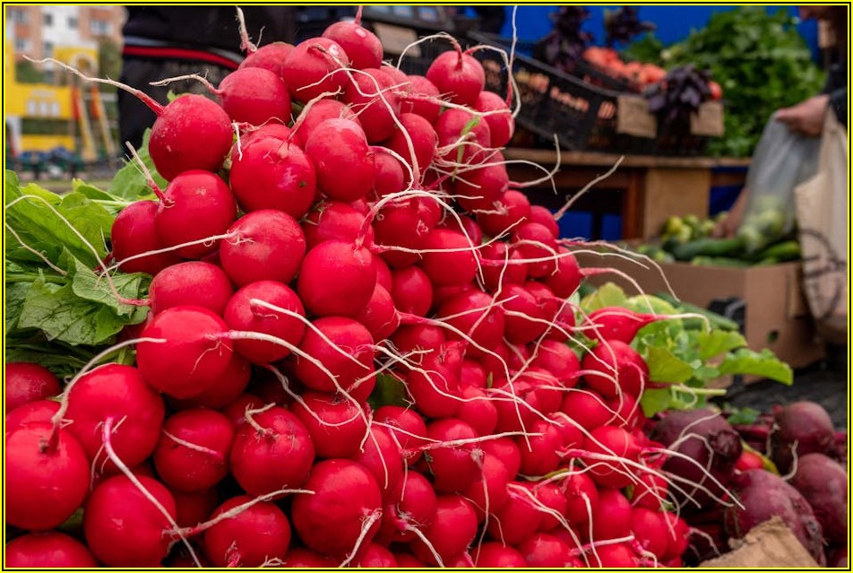 안심하고 먹는 과일 채소, 잔류농약 제거 완벽 가이드