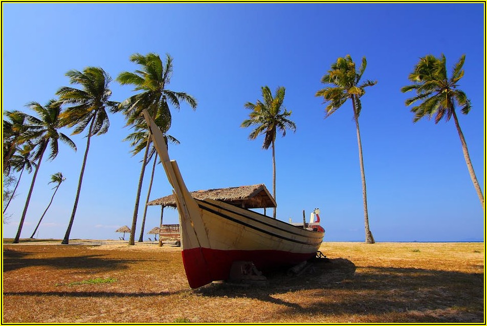 부산 첫 여행, 망설이지 마세요! 필수 가이드