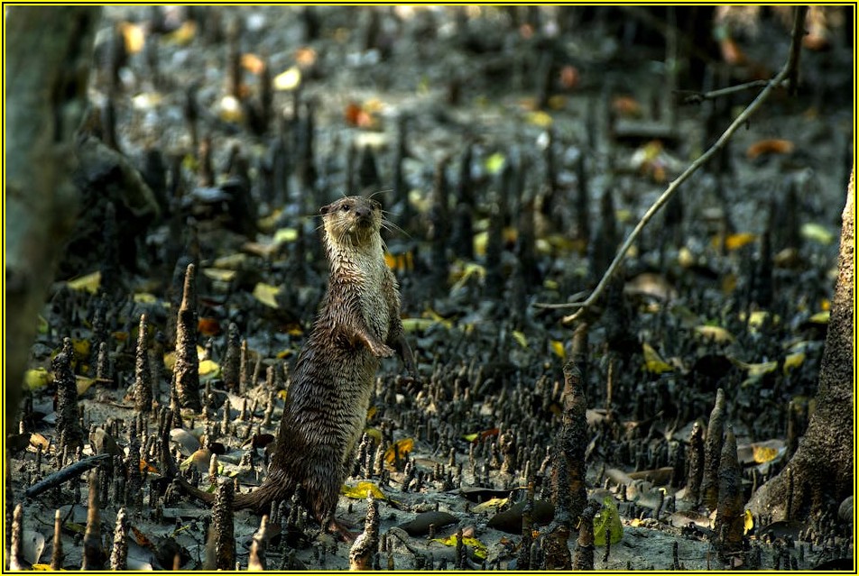 나를 바꾸는 선언서, 목표 달성을 위한 가장 확실한 방법