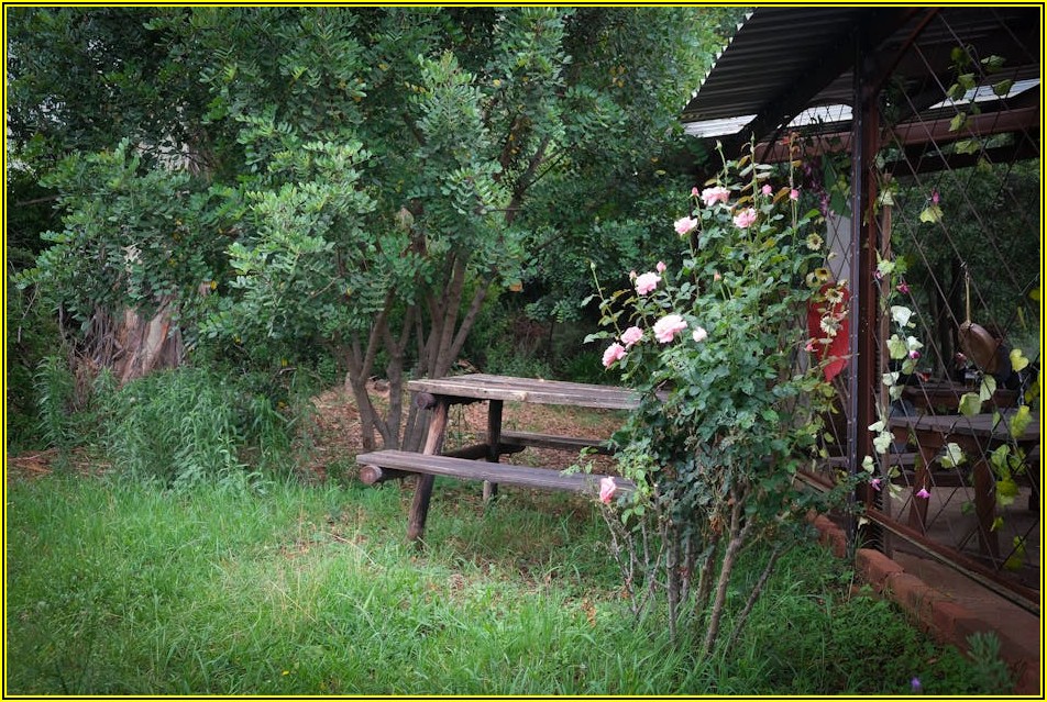 옥외 영업 신고, 알아야 할 모든 것 총정리