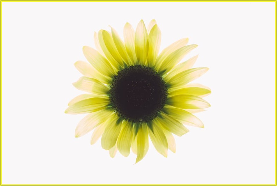 가성비 끝판왕 소고기 직판장, 솔직 후기 공개!