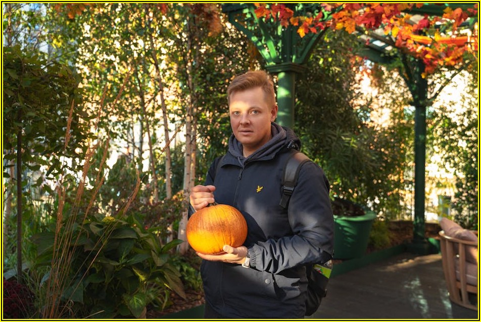 거미 축가, 잊지 못할 순간을 만드는 완벽 가이드