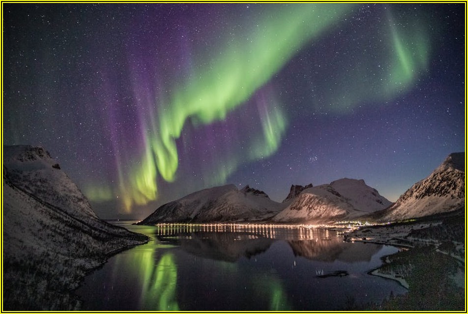 냉동 타코야끼 보관 및 유통기한: 주의사항 총정리