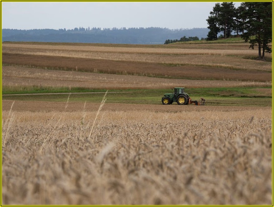 농산물 신선도 결정! 상자 종류별 장단점 비교 가이드