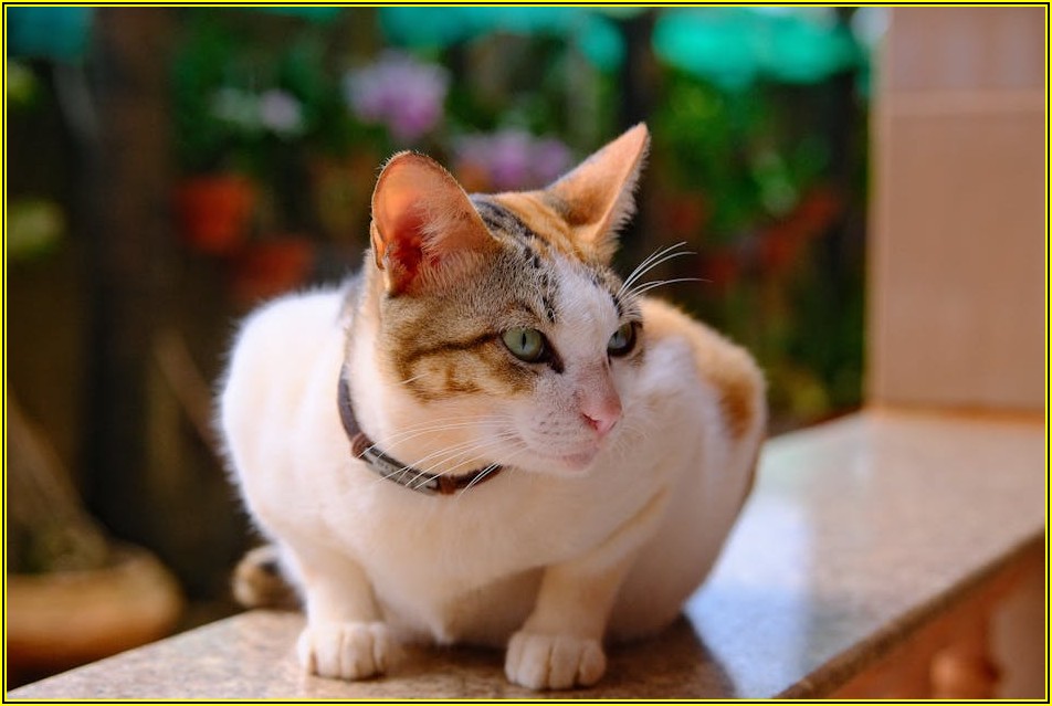 국내 선물 증거금, 이것만 알면 투자 문제없어요