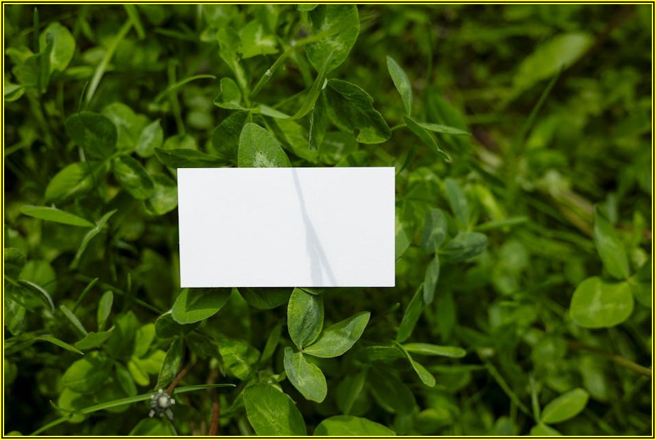 돈 되는 재활용 사업, 환경 보호와 경제 모두 잡는 법