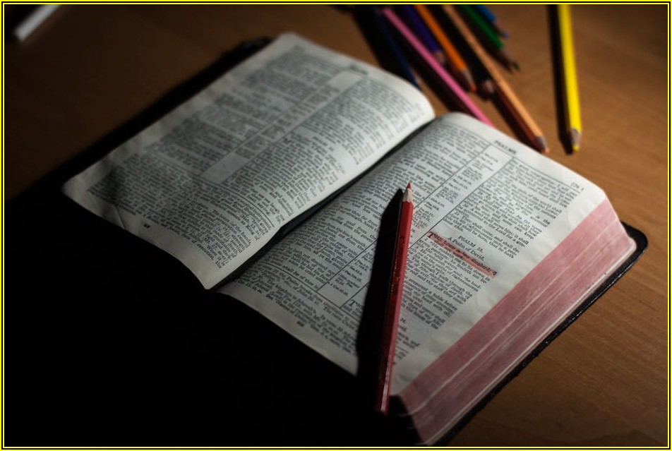 튼튼한 목공, 목공용 본드 사용 꿀팁 대방출