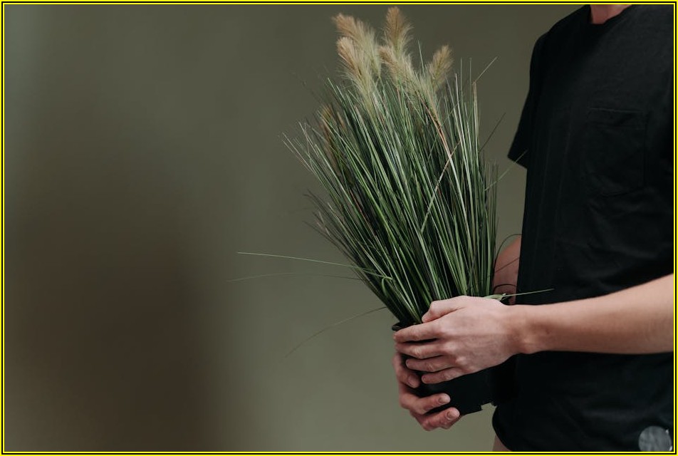 화단 철거 후 생길 문제, 미리 알고 대처하자