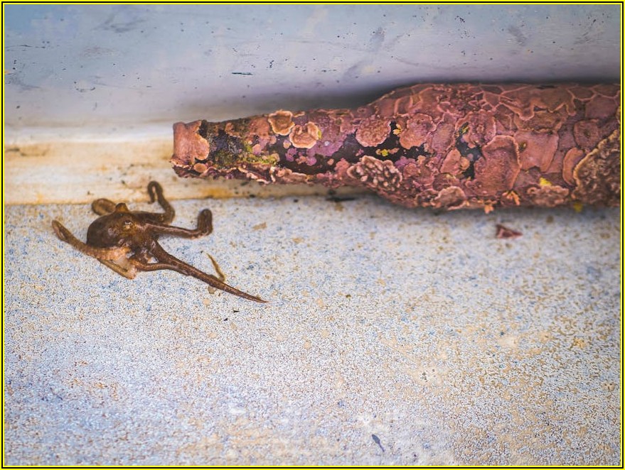 소상공인 철거, 이것만 알면 손해 없다!