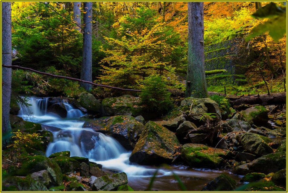 성공을 향한 여정, 박한샘의 프로필과 주요 업적