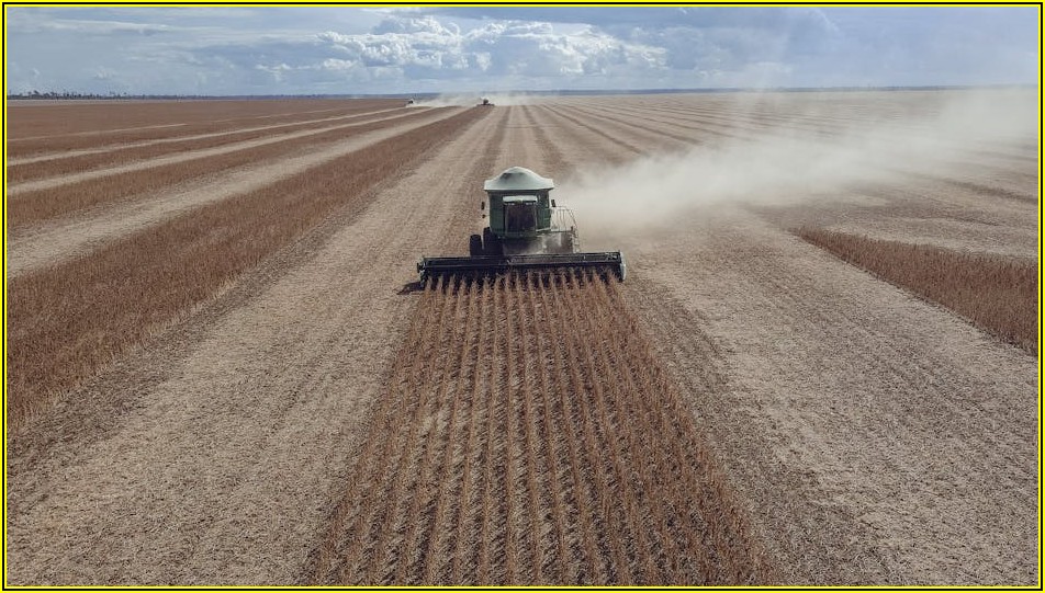 맛있는 닭발, 제대로 된 가격과 마케팅으로 승부
