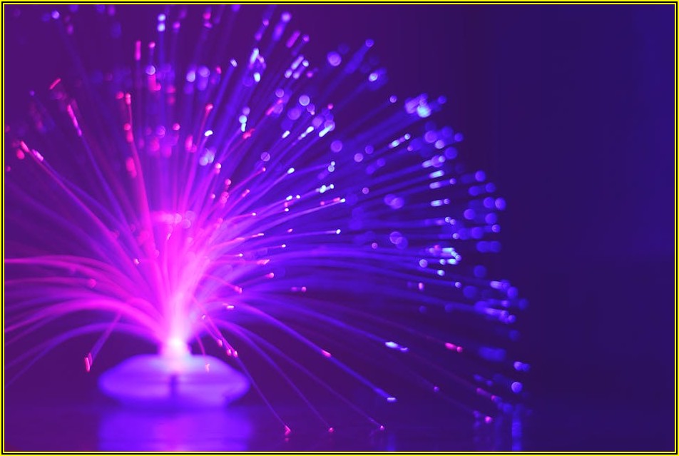 최신 전동 스태커 트렌드와 물류 효율 극대화 전략