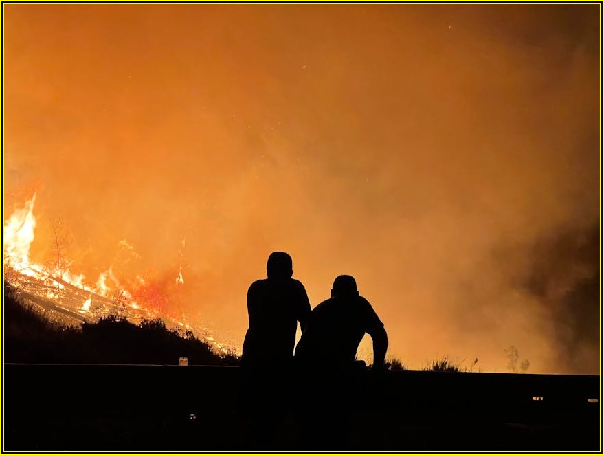 소방방재, 안전 점검: 전문가가 알려주는 필수 체크리스트