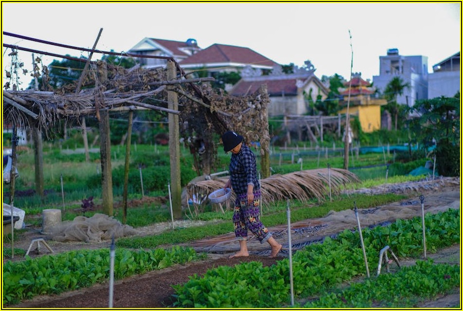 유엔빌리지: 완벽한 주거 환경과 편리한 인프라