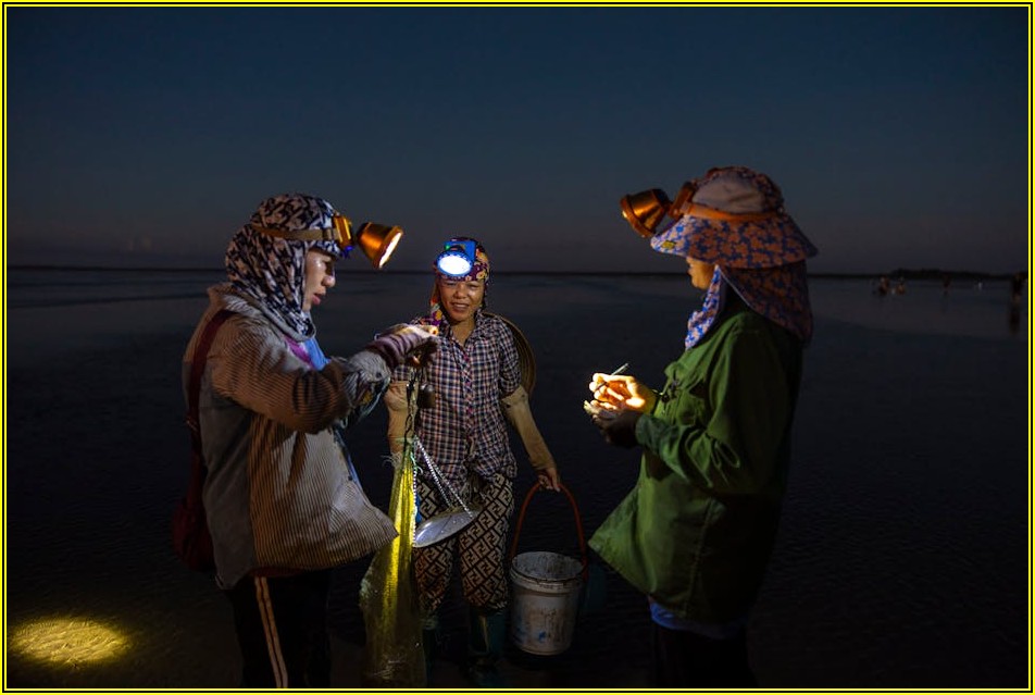 대구 블로그 체험단, 솔직 후기로 진짜 맛집 찾는 법
