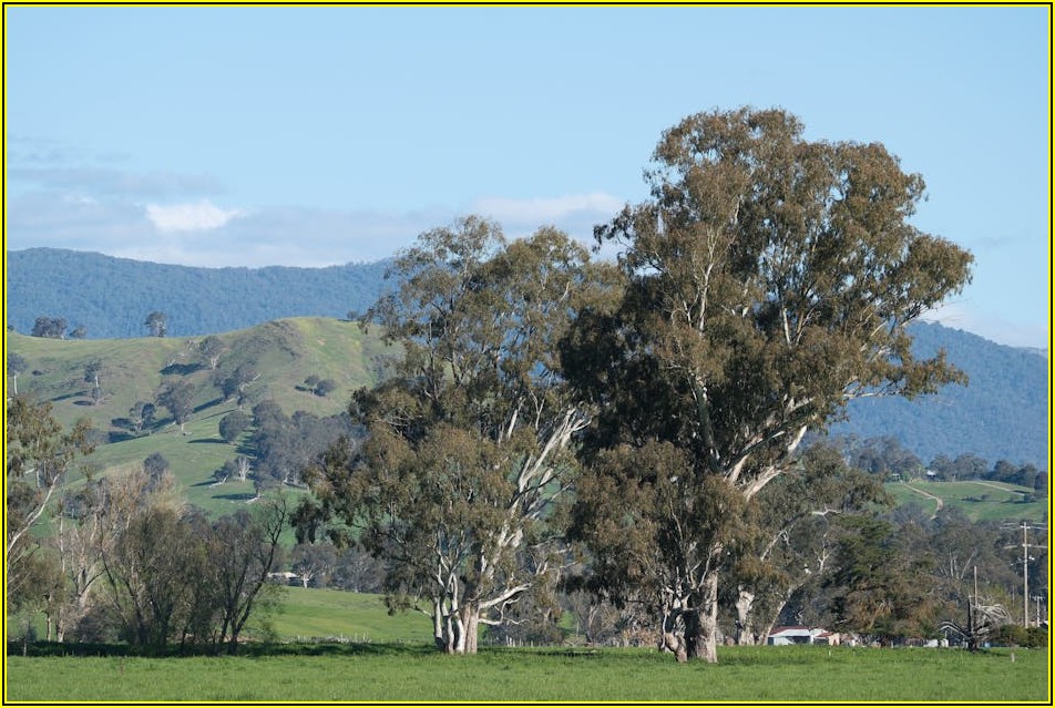 자외선 완벽 차단! 기능성 얼굴 가리개 고르기