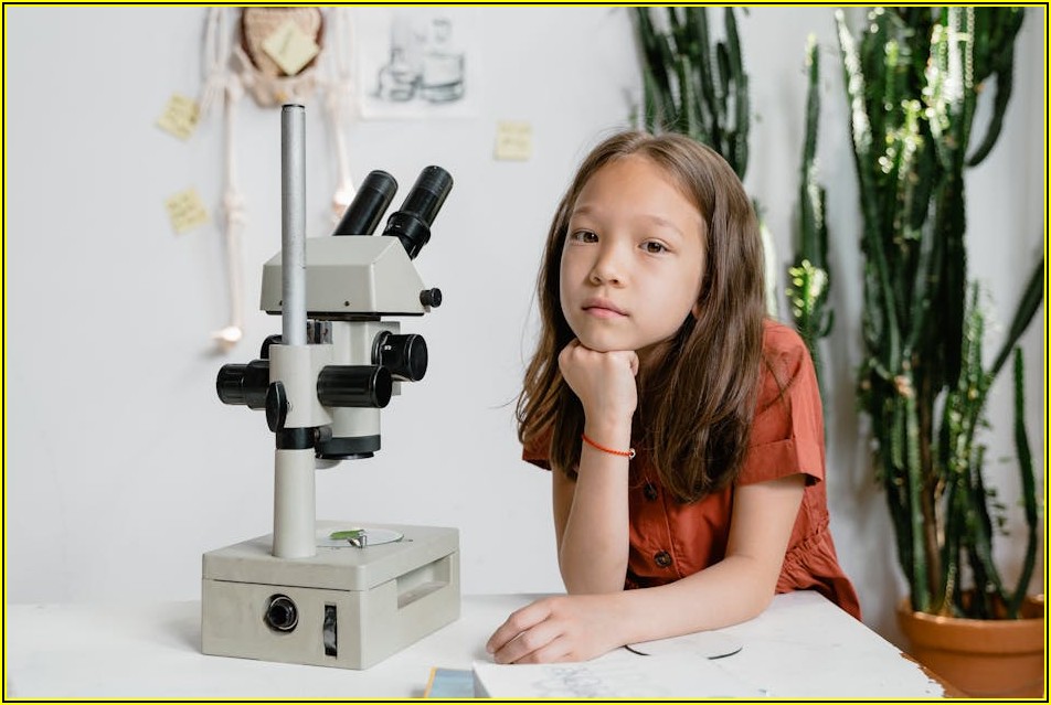 우리 아이 홈스쿨링, 알아야 할 법규와 지원 정책 총정리