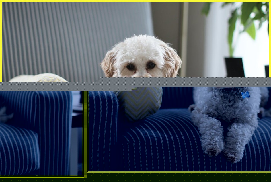 소액대출, 정부 지원받아 재정 안정 찾기