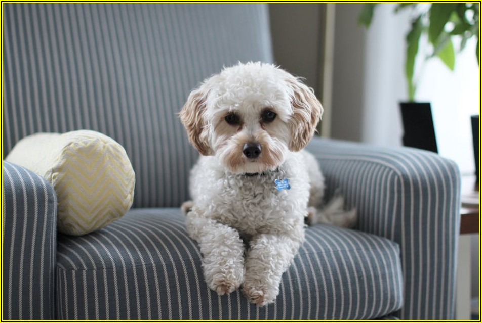 정부지원 소액대출, 현명하게 활용하는 실전 가이드