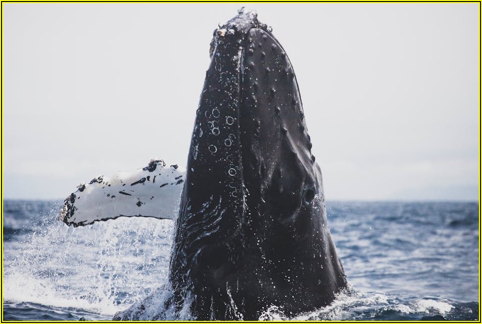 실시간 경제 이슈, 주요 뉴스로 흐름 파악하기