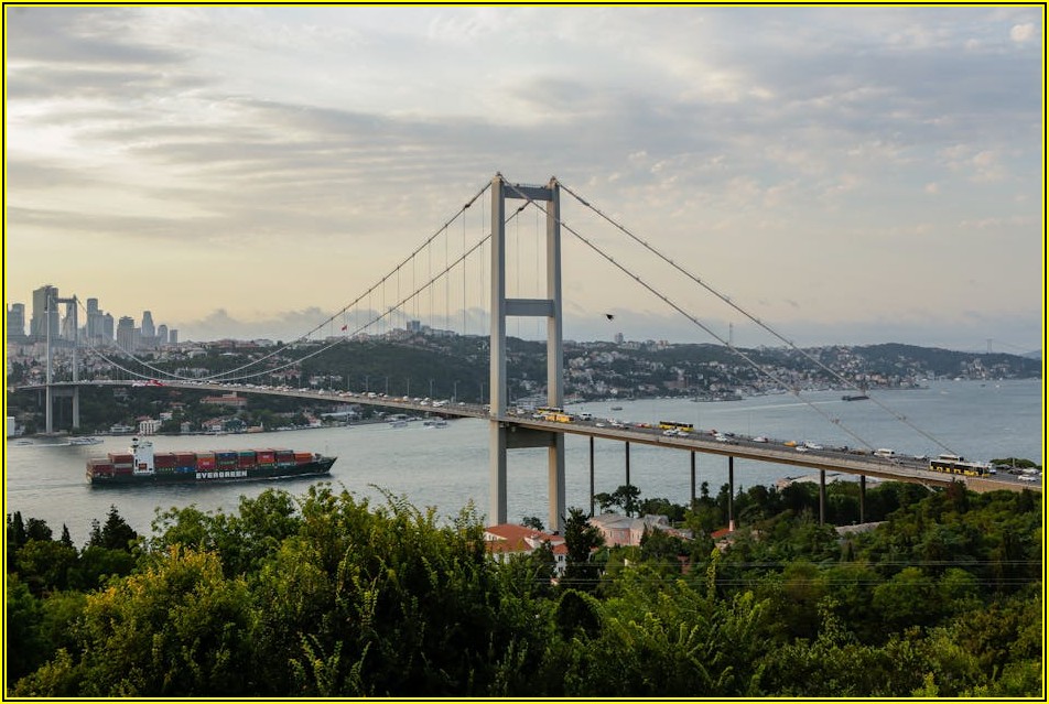 해외 배송대행 완벽 가이드: 유형별 추천 사이트