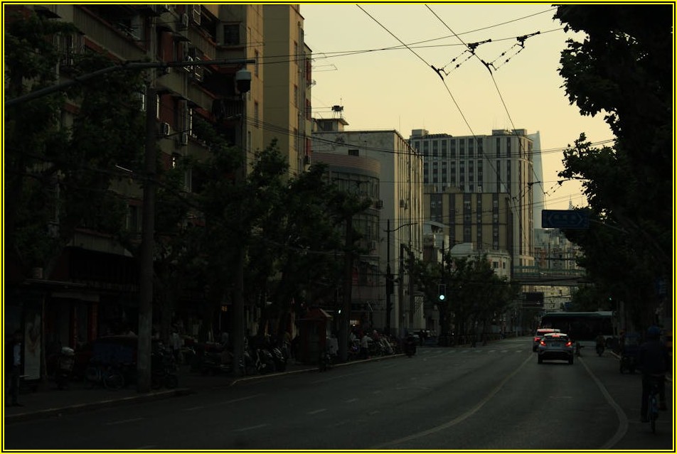 교통사고 손해, 똑똑하게 보상받는 법: 손해사정사 활용 전략