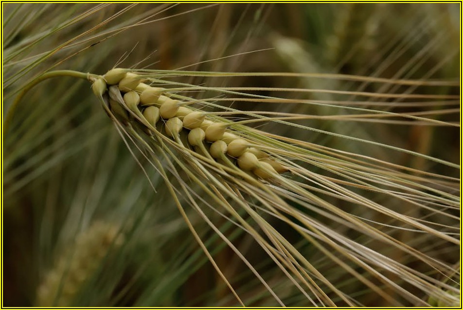 컴퓨터 소리 문제, 더 이상 고민하지 마세요!