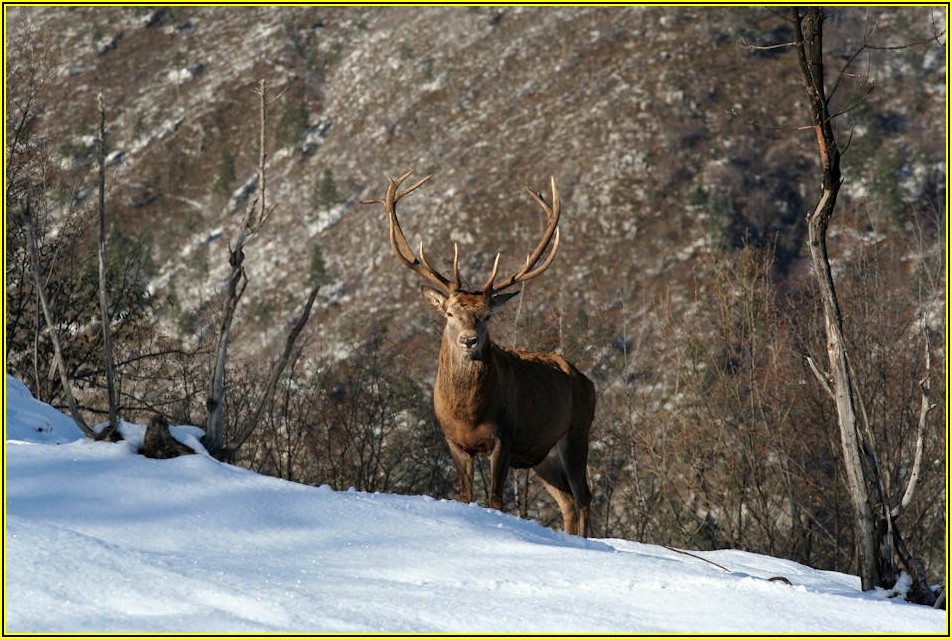 특별한 우리 가게, 예쁜 현판으로 시선 사로잡기