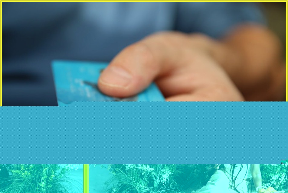 플라스틱 바구니, 종류 따라 용도와 특징 알아보기
##title end##