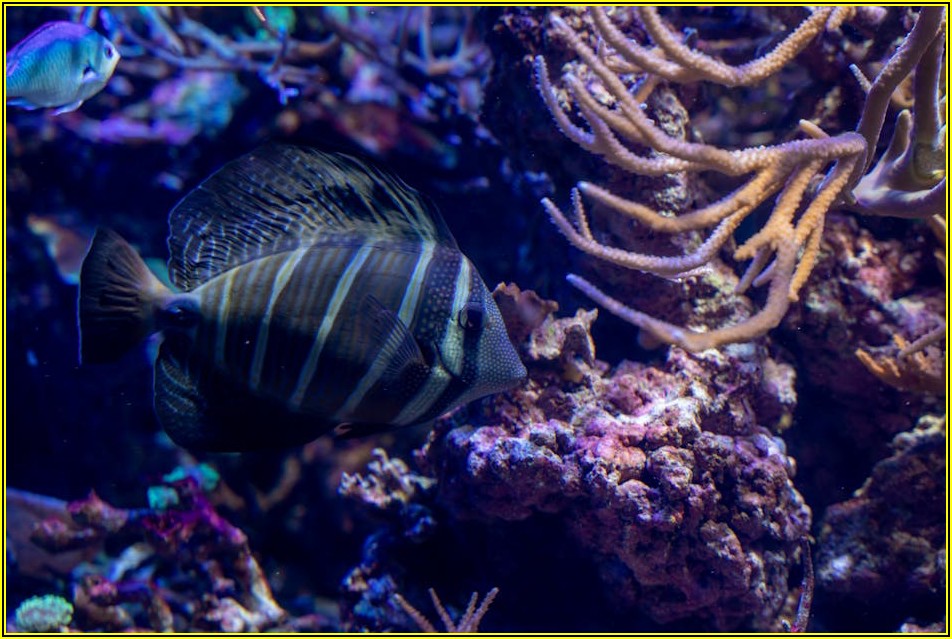 삼성바이오로직스 취업 성공 전략과 연봉 수준은?