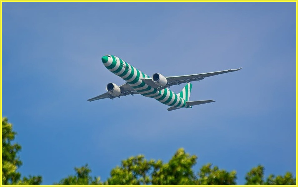 에미레이트 항공 객실 승무원 되기: 채용 정보 총정리