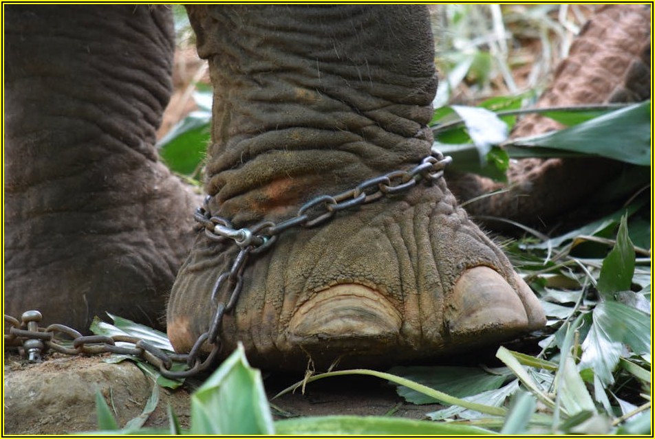 이축권 투자, 실제 사례로 배우는 성공과 실패의 길